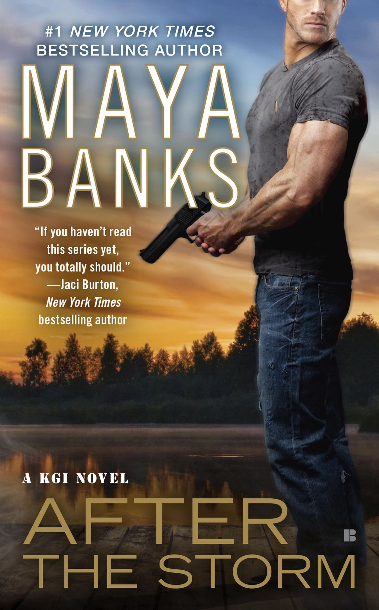 After the Storm (KGI Series #8)