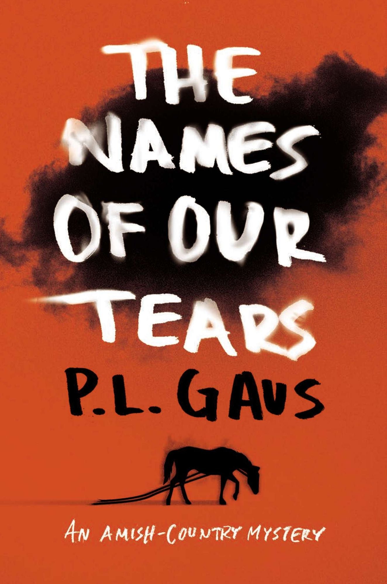 The Names of Our Tears (Amish-Country Mystery Series #8)
