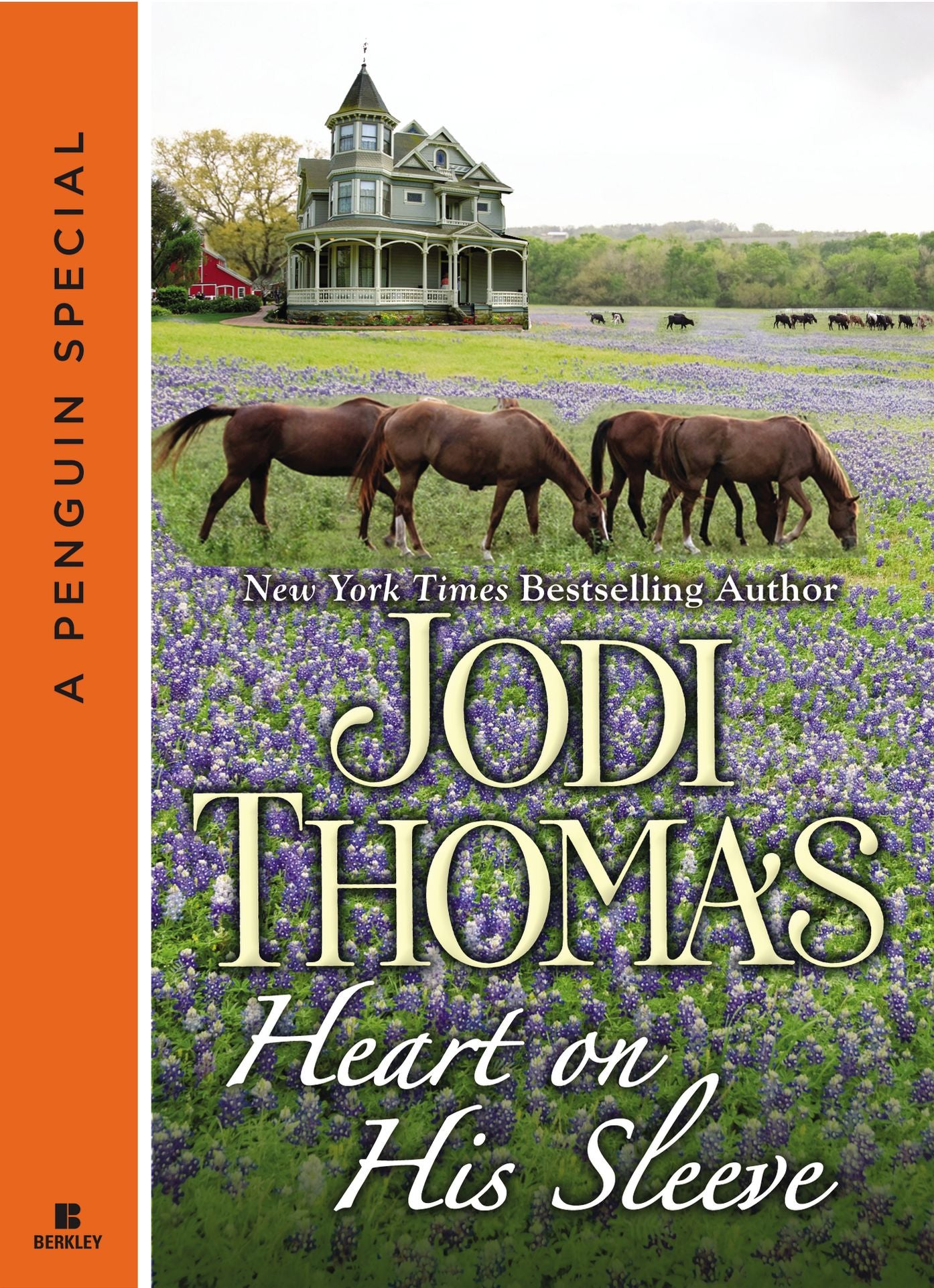 Heart on His Sleeve (Novella)