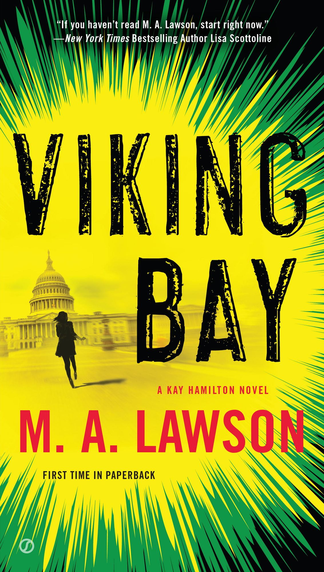Viking Bay (Kay Hamilton Series #2)