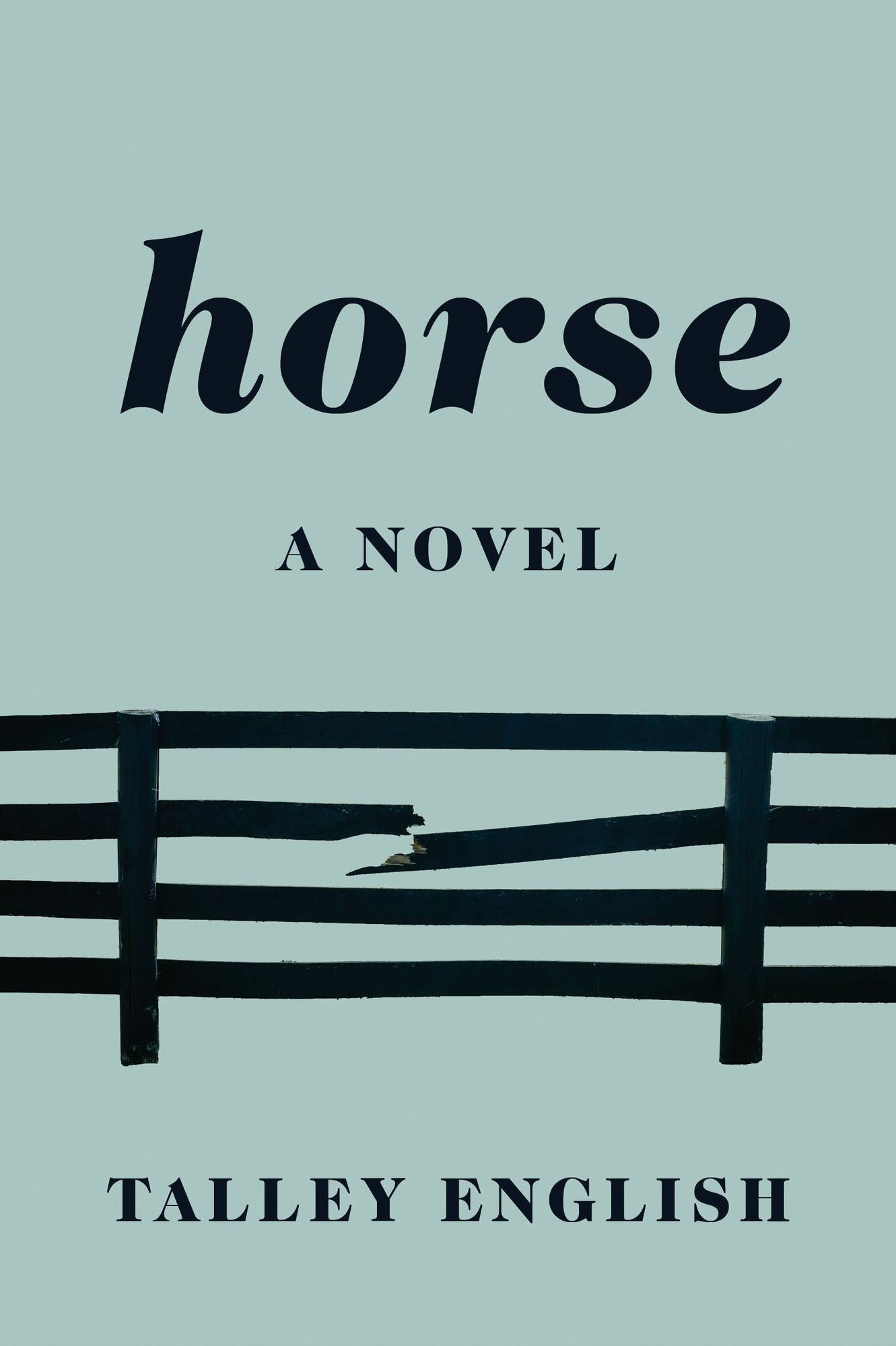 Horse: A novel