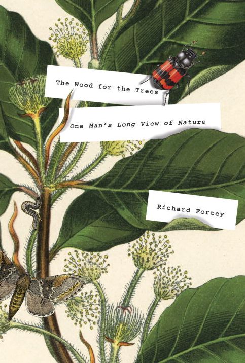 The Wood for the Trees: One Man's Long View of Nature