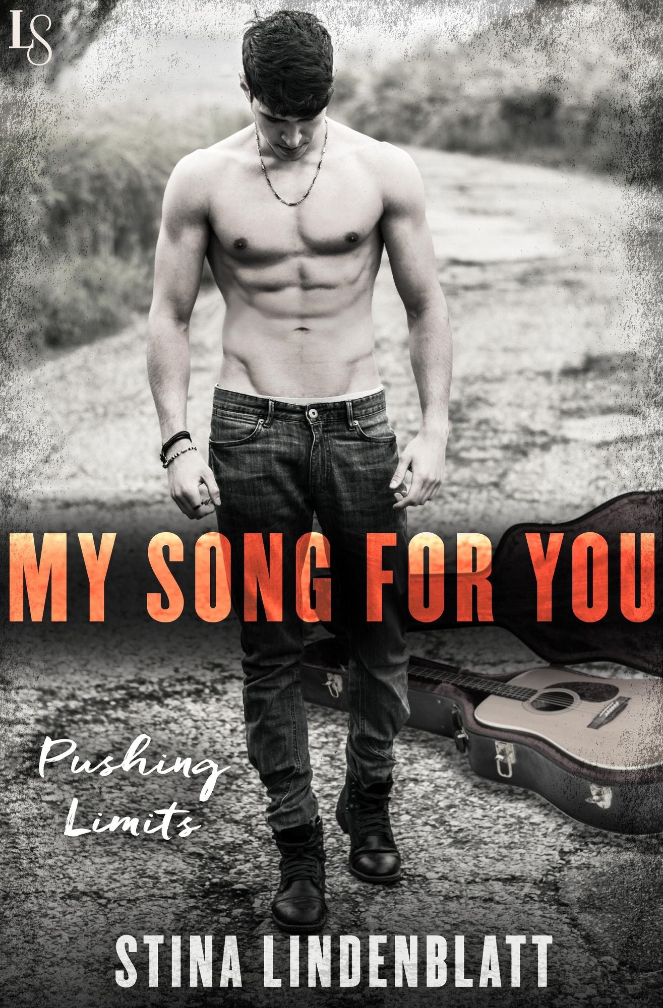 My Song for You: A Pushing Limits Novel