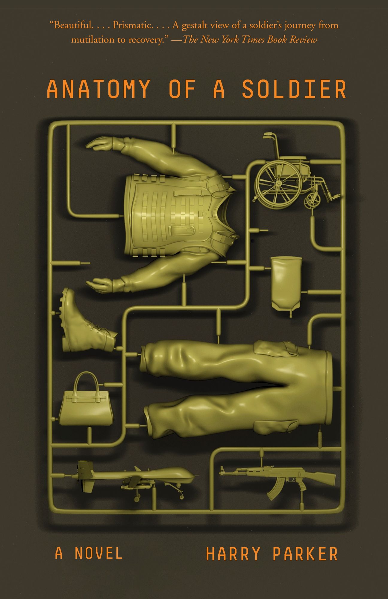 Anatomy of a Soldier: A novel