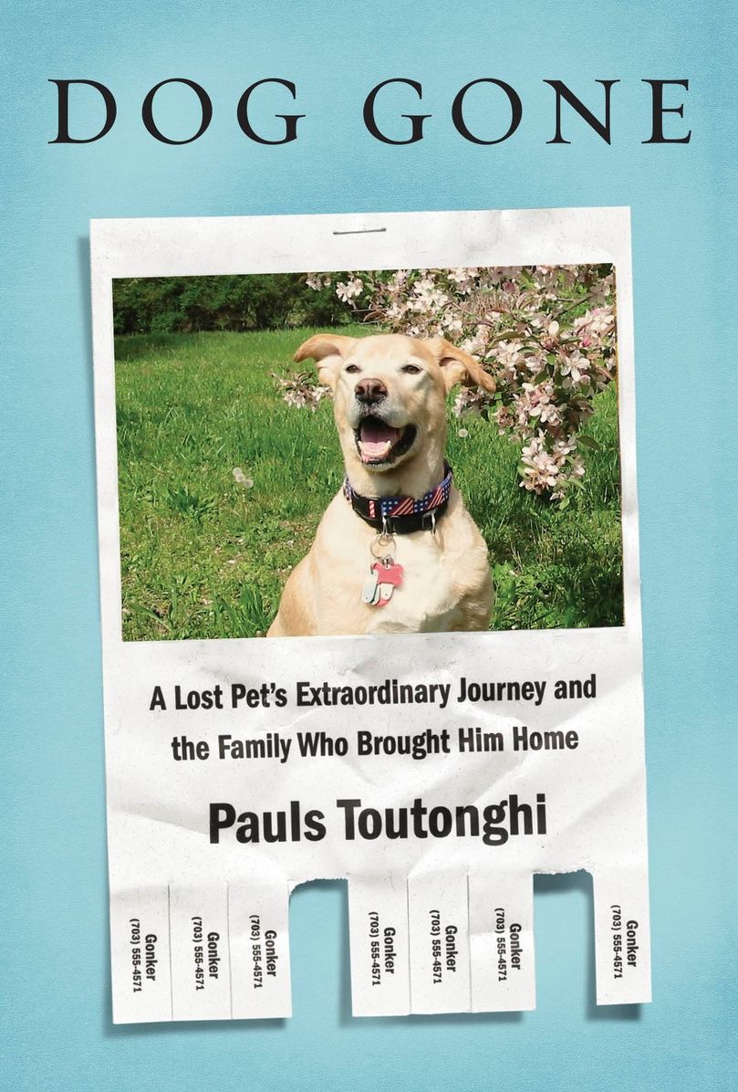Dog Gone: A Lost Pet's Extraordinary Journey and the Family Who Brought Him Home