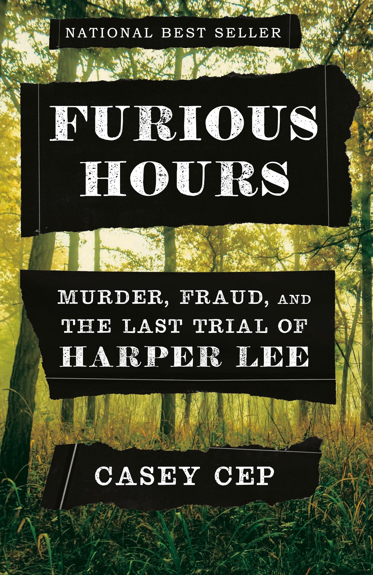 Furious Hours: Harper Lee and an Unfinished Story of Race, Religion, and Murder in the Deep South