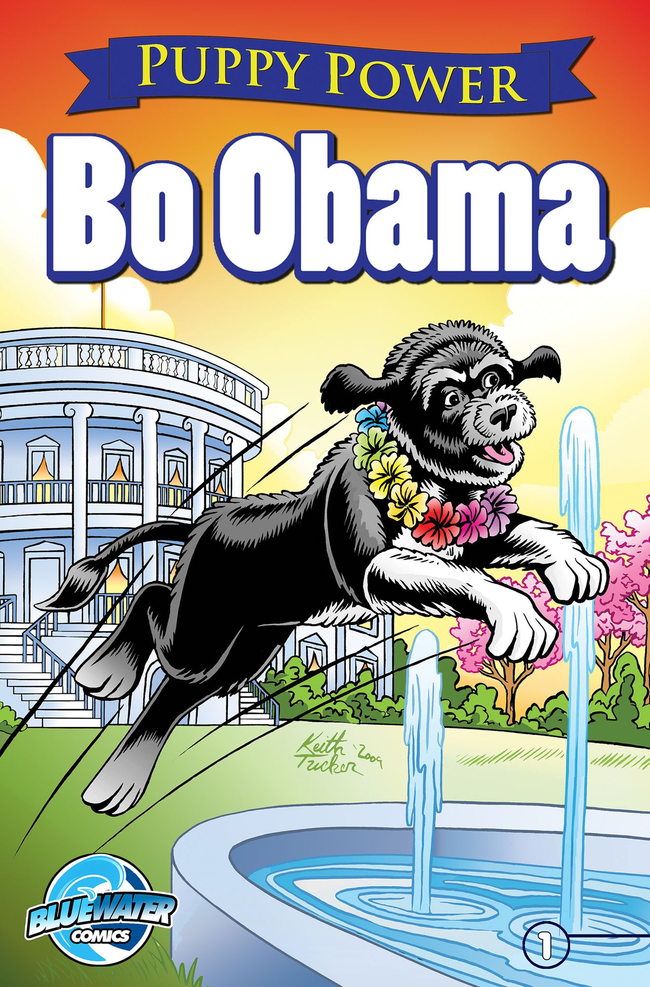Puppy Power: Bo Obama #1