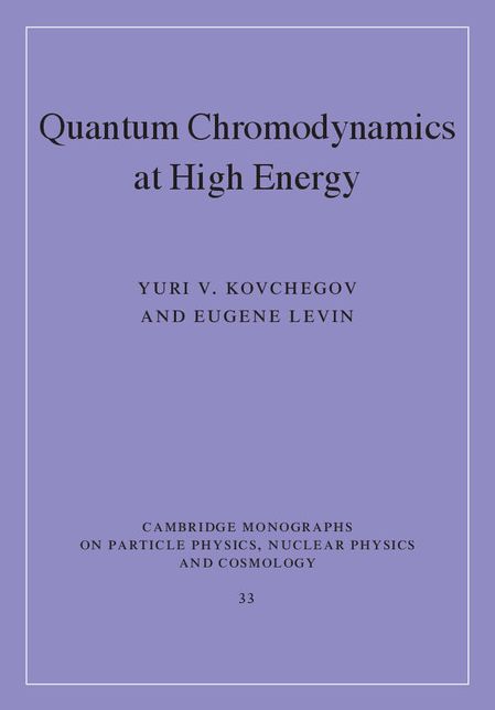Quantum Chromodynamics at High Energy