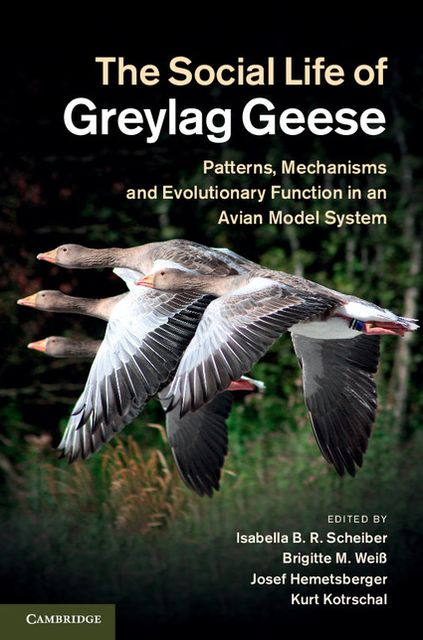 The Social Life of Greylag Geese: Patterns, Mechanisms and Evolutionary Function in an Avian Model System
