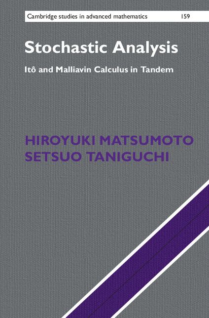 Stochastic Analysis: Itô and Malliavin Calculus in Tandem