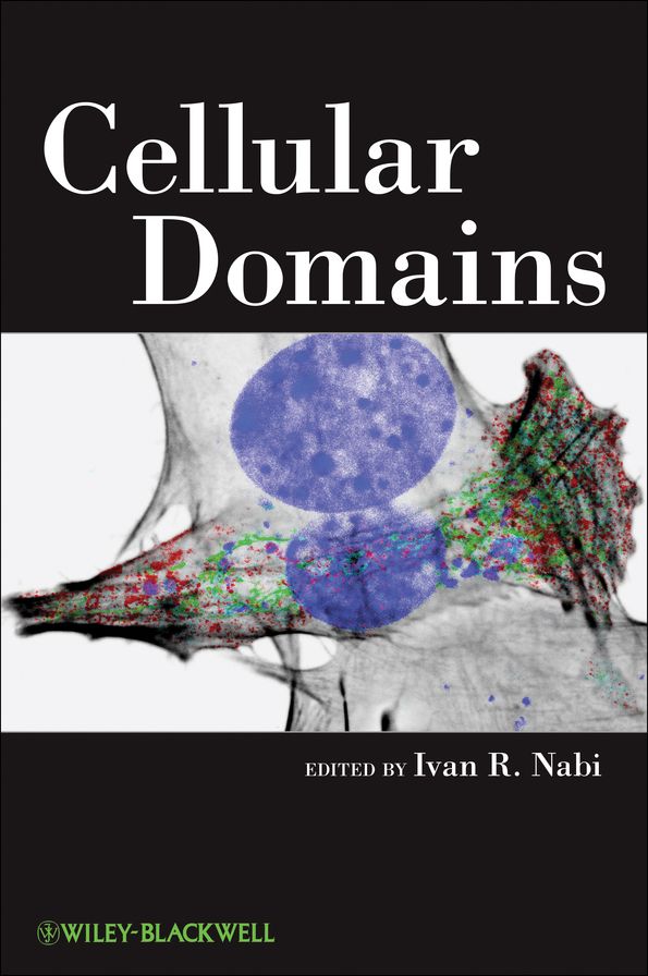 Cellular Domains