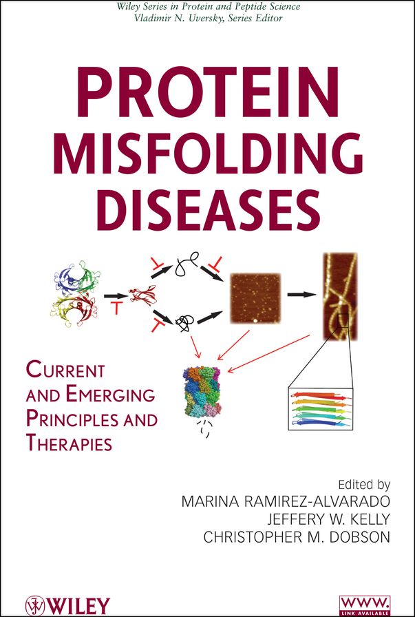 Protein Misfolding Diseases: Current and Emerging Principles and Therapies
