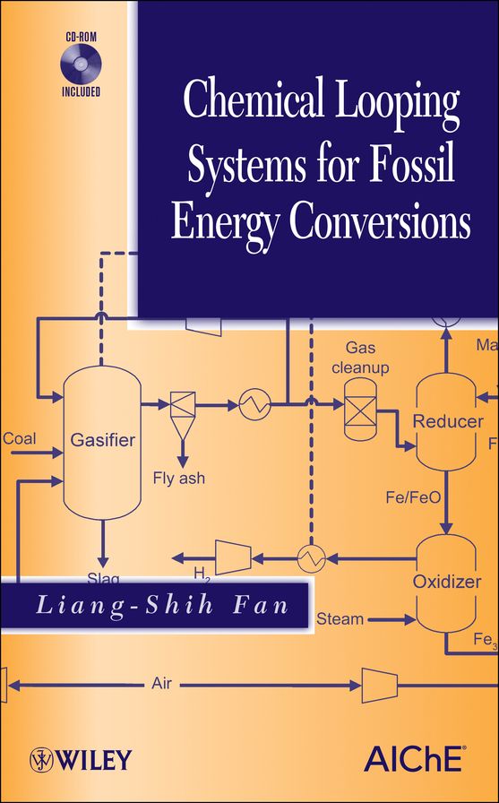 Chemical Looping Systems for Fossil Energy Conversions