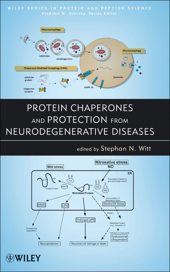 Protein Chaperones and Protection from Neurodegenerative Diseases