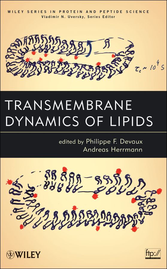 Transmembrane Dynamics of Lipids