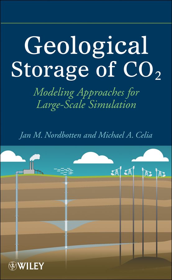 Geological Storage of CO2: Modeling Approaches for Large-Scale Simulation