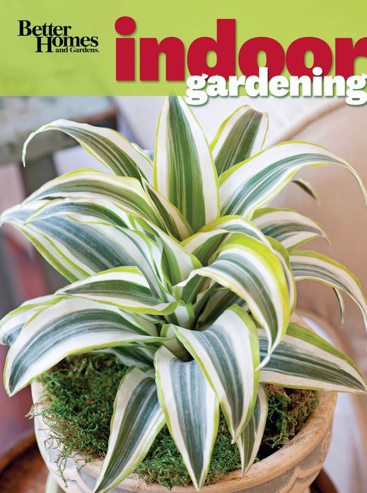 Better Homes and Gardens Indoor Gardening