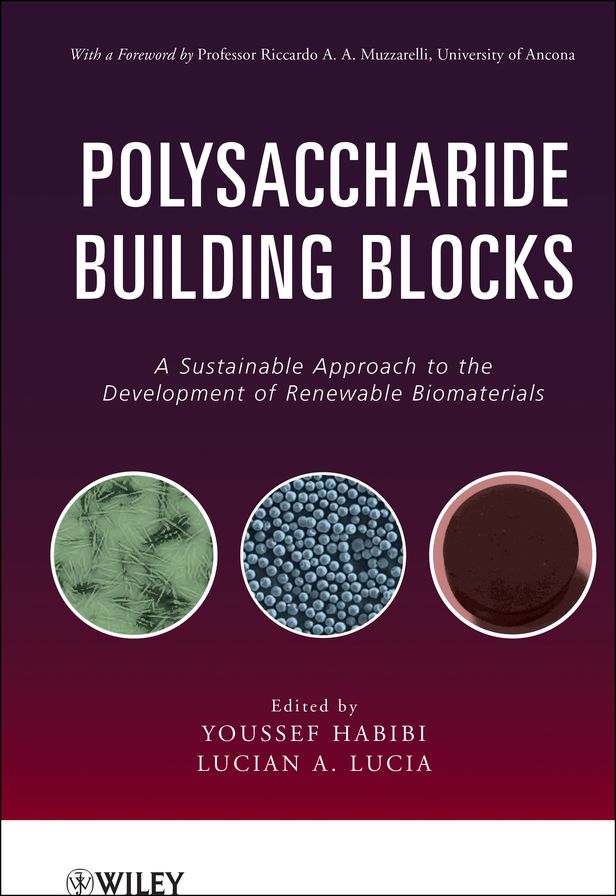 Polysaccharide Building Blocks: A Sustainable Approach to the Development of Renewable Biomaterials