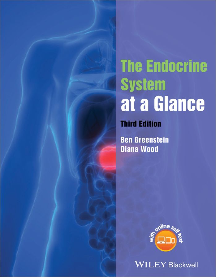 The Endocrine System at a Glance