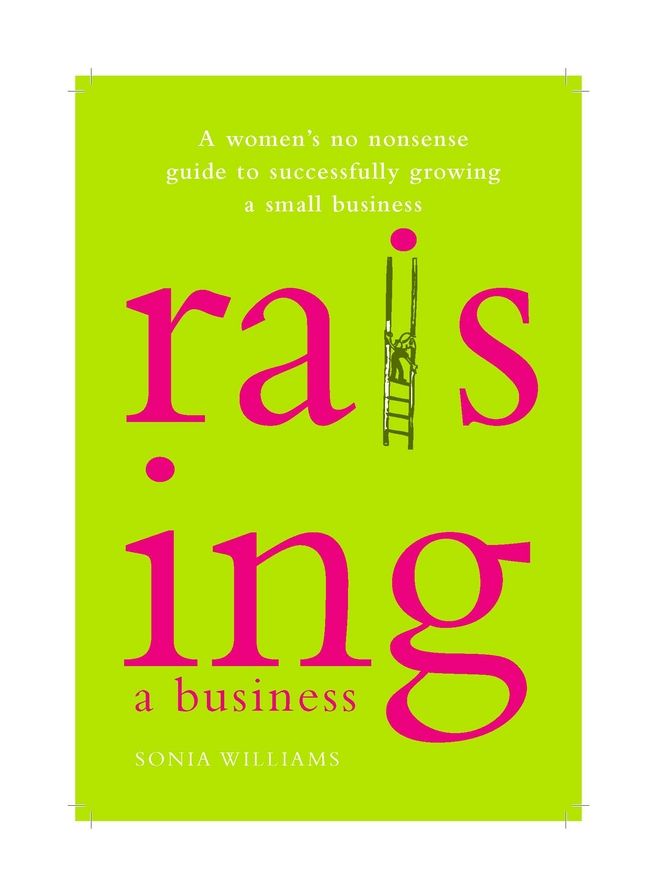 Raising a Business: A Woman's No-nonsense Guide to Successfully Growing a Small Business