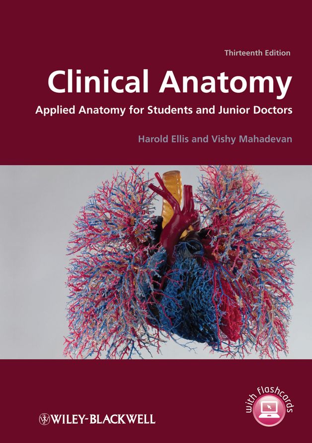 Clinical Anatomy: Applied Anatomy for Students and Junior Doctors