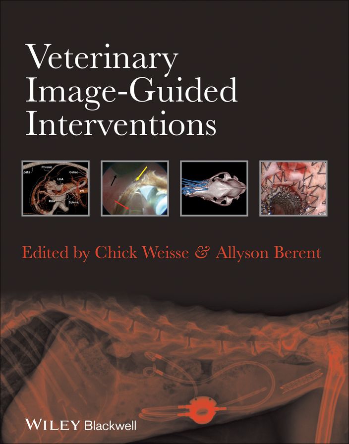 Veterinary Image-Guided Interventions