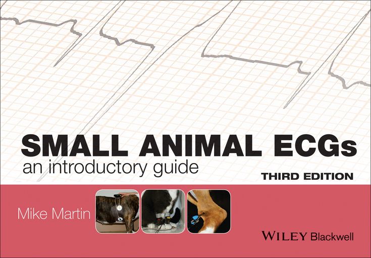 Small Animal ECGs: An Introductory Guide