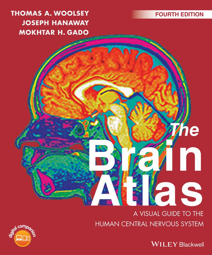 The Brain Atlas: A Visual Guide to the Human Central Nervous System