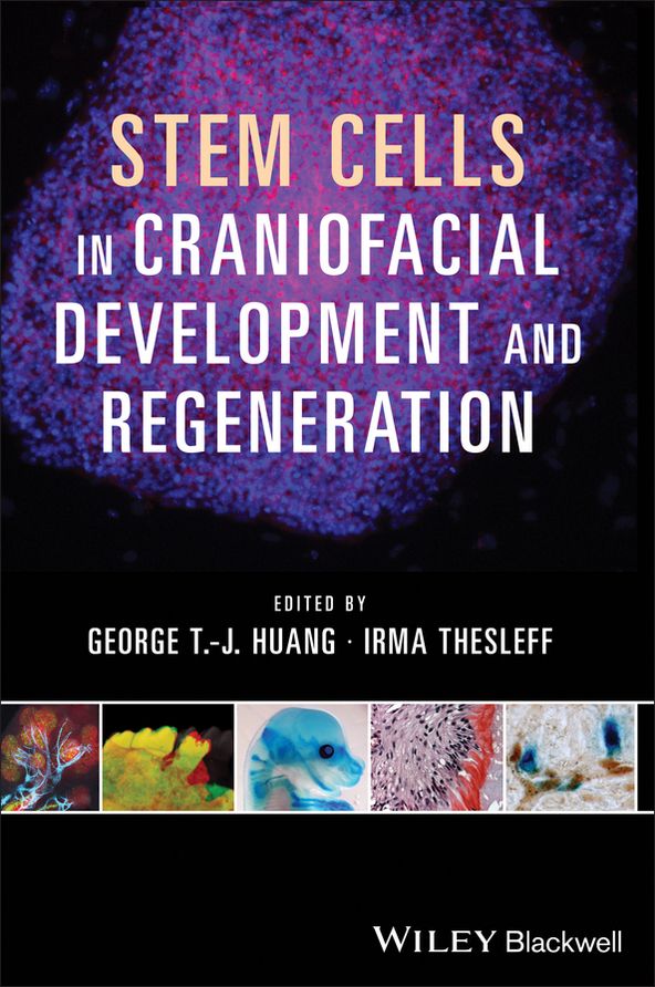 Stem Cells, Craniofacial Development and Regeneration
