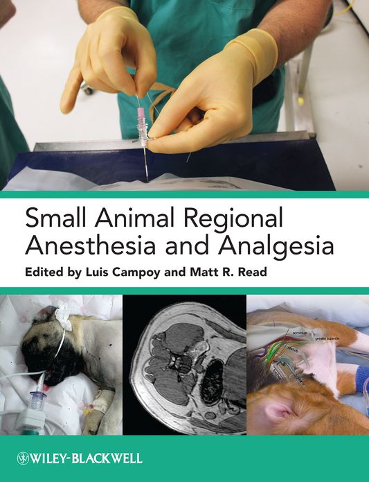 Small Animal Regional Anesthesia and Analgesia