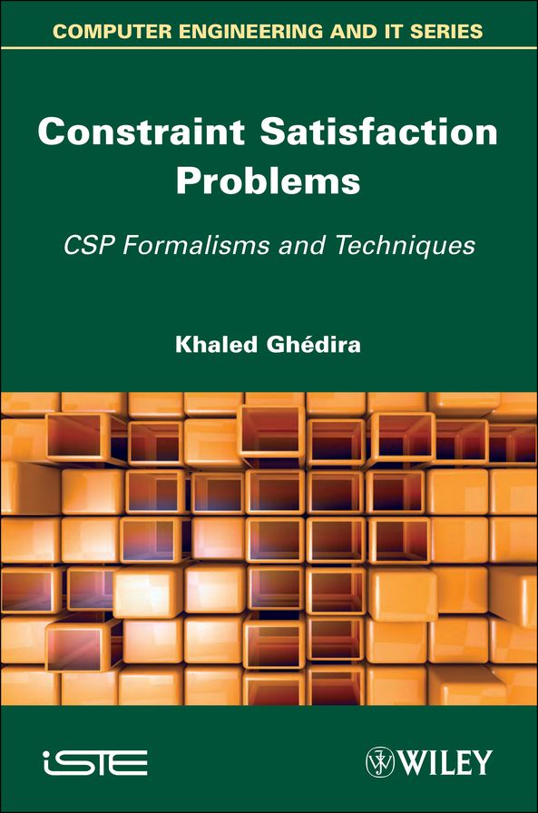 Constraint Satisfaction Problems: CSP Formalisms and Techniques