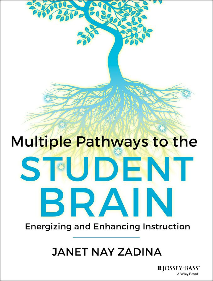 Multiple Pathways to the Student Brain: Energizing and Enhancing Instruction