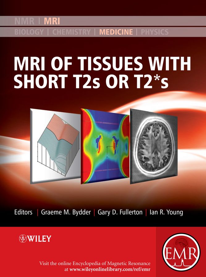 MRI of Tissues with Short T2s or T2*s