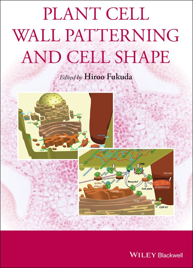 Plant Cell Wall Patterning and Cell Shape