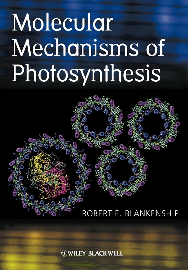 Molecular Mechanisms of Photosynthesis