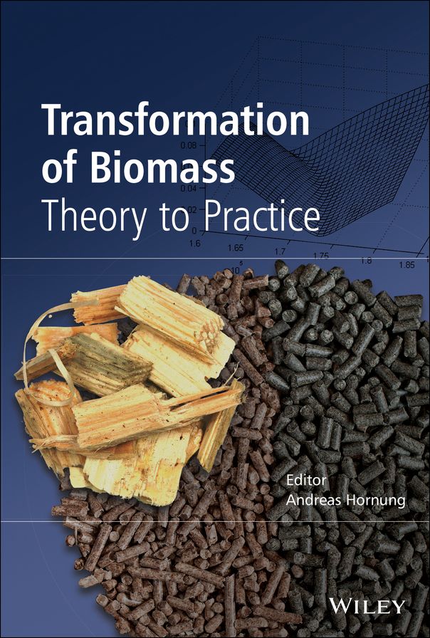 Transformation of Biomass: Theory to Practice