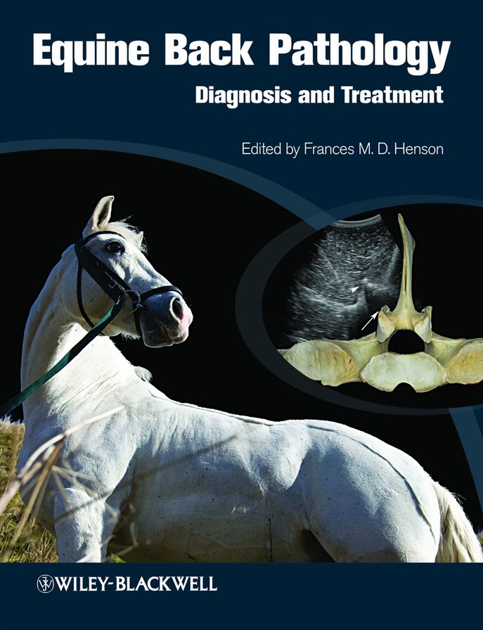 Equine Back Pathology: Diagnosis and Treatment
