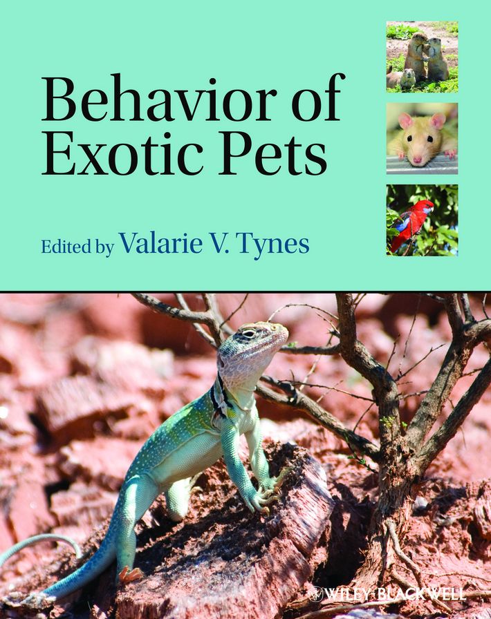 Behavior of Exotic Pets