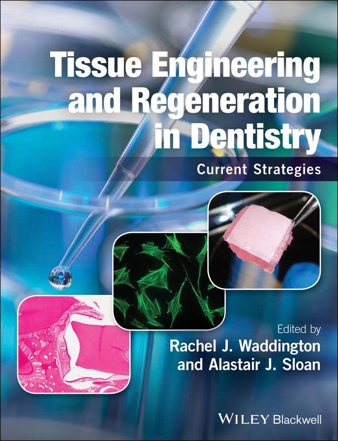Tissue Engineering and Regeneration in Dentistry: Current Strategies
