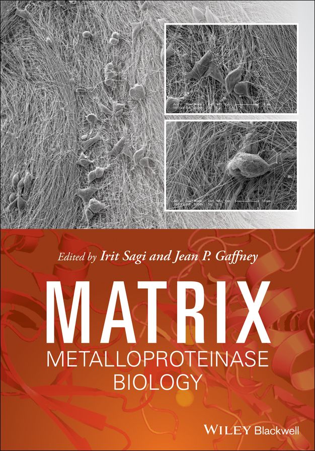 Matrix Metalloproteinase Biology