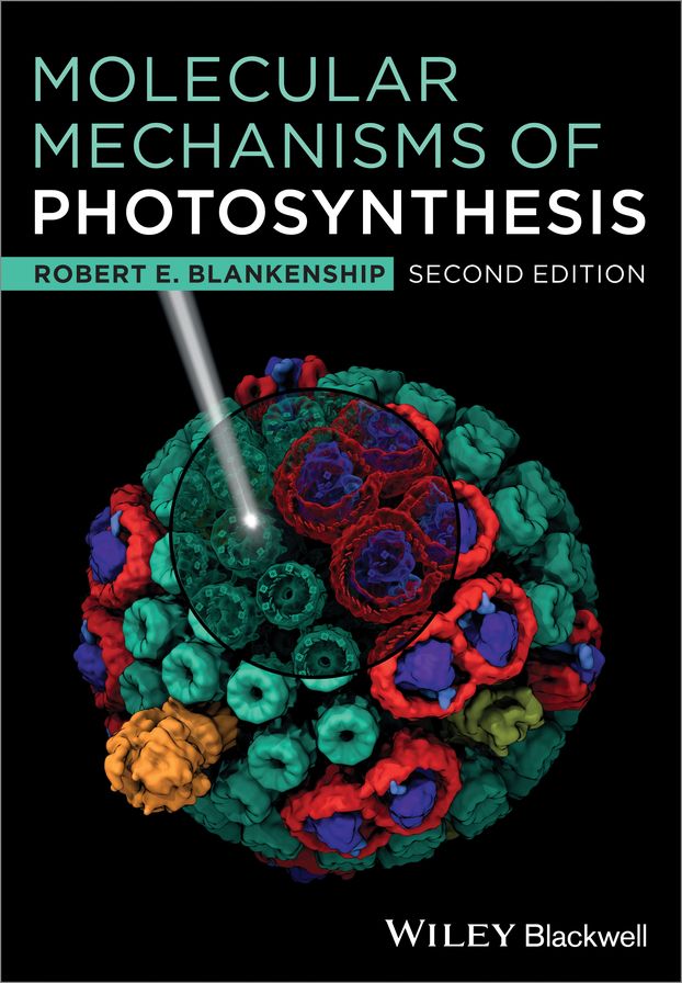 Molecular Mechanisms of Photosynthesis