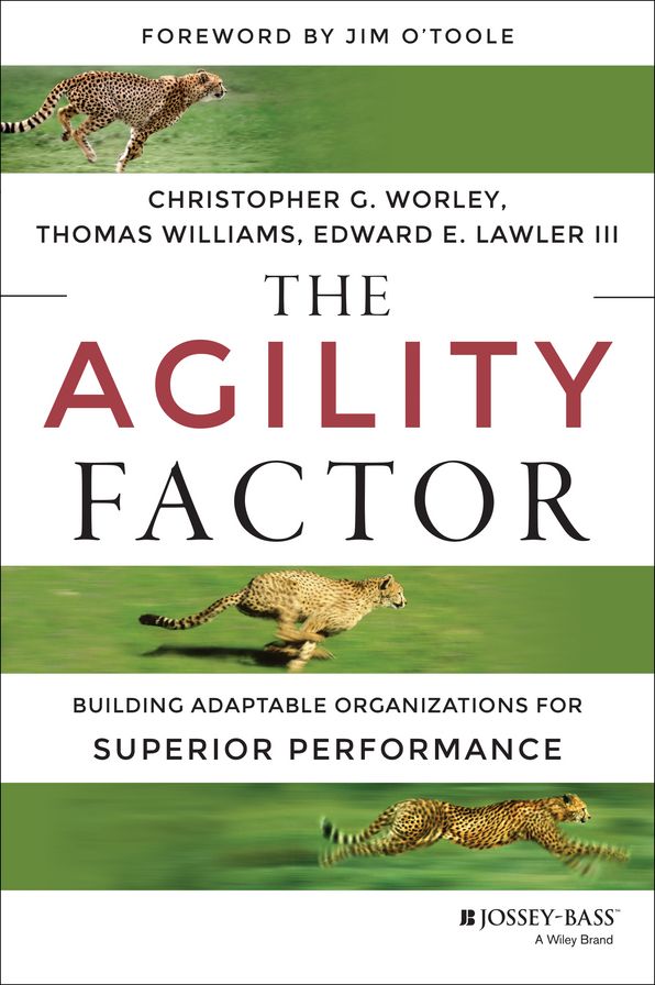 The Agility Factor: Building Adaptable Organizations for Superior Performance