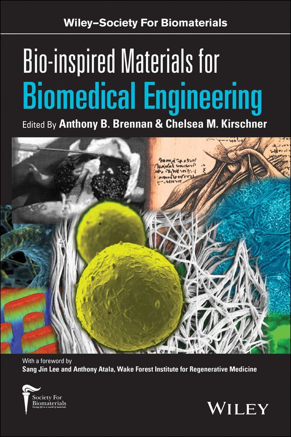 Bio-inspired Materials for Biomedical Engineering