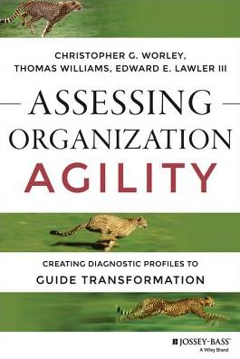 Assessing Organization Agility: Creating Diagnostic Profiles to Guide Transformation