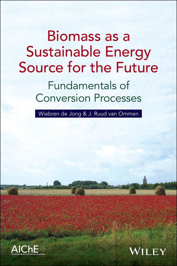 Biomass as a Sustainable Energy Source for the Future: Fundamentals of Conversion Processes