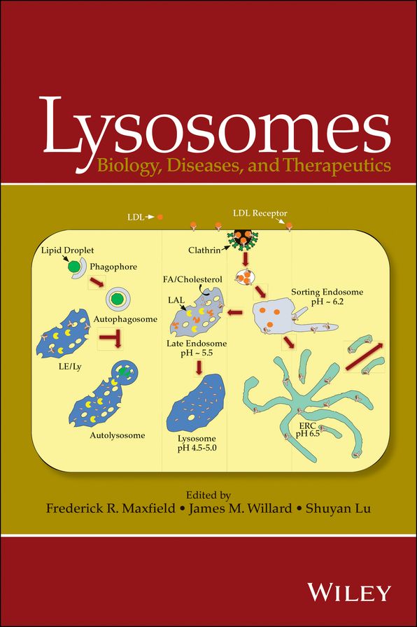 Lysosomes: Biology, Diseases, and Therapeutics