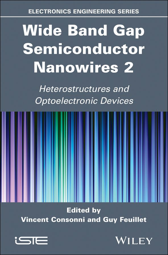Wide Band Gap Semiconductor Nanowires 2: Heterostructures and Optoelectronic Devices