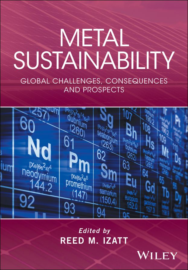 Metal Sustainability: Global Challenges, Consequences, and Prospects
