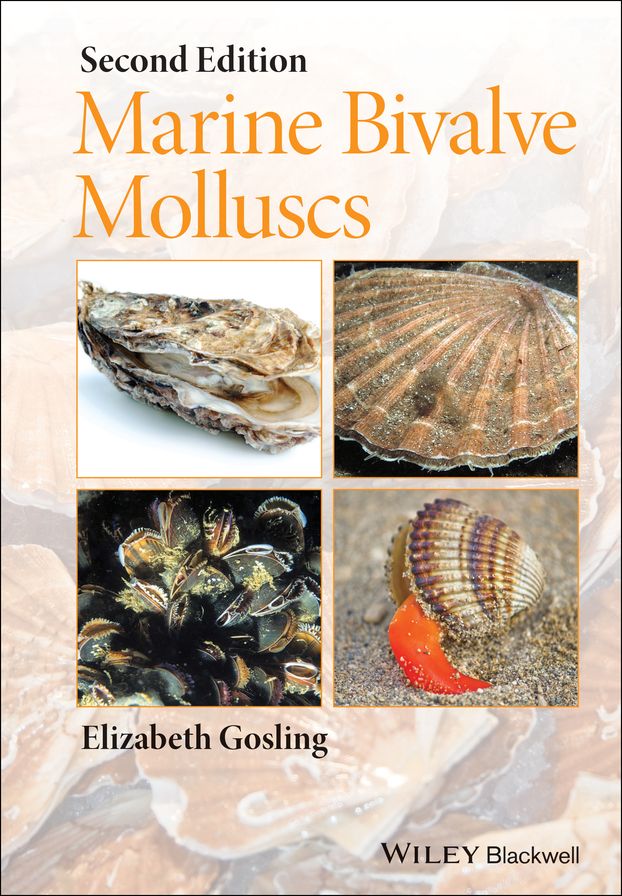 Marine Bivalve Molluscs