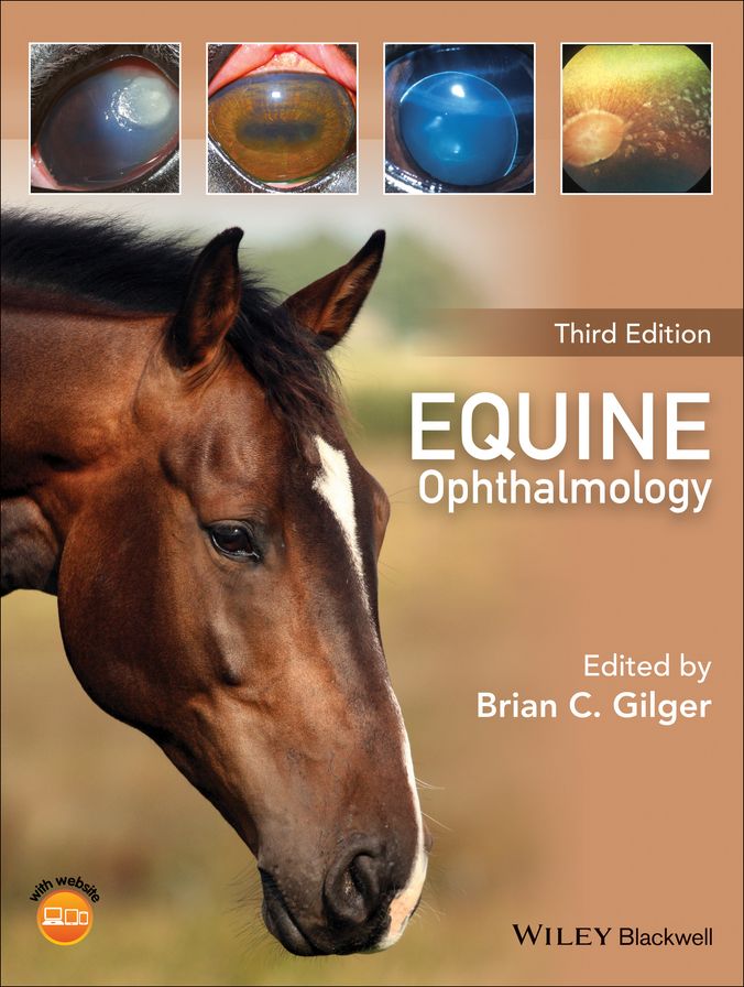 Equine Ophthalmology